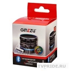 Колонка портативная GINZZU GM-880B 3Вт, 100Гц-20КГц, 300мАч, AUX, microSD, USB-flash, FM-радио