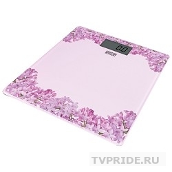 Весы