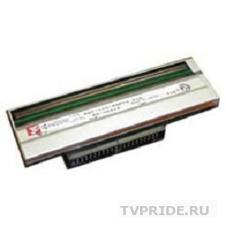 Zebra 79800M Печатающая головка 203 dpi для принтеров ZM400